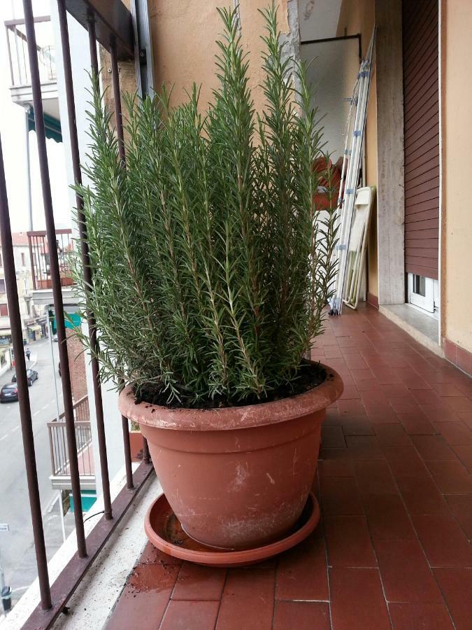 מלון ויג'באנו La Via Per Milano מראה חיצוני תמונה